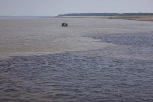 Encontro das Águas: como fazer o passeio em Manaus
