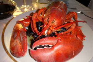 O Maine e suas famosas lagostas