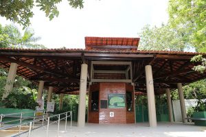 Bosque da Ciência e CIGS estão entre os melhores zoológicos e aquários da América do Sul