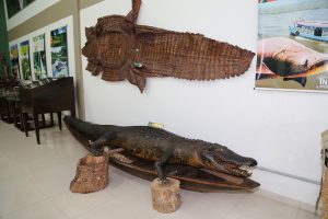 Bosque da Ciência reabre para visitação pública com entrada gratuita