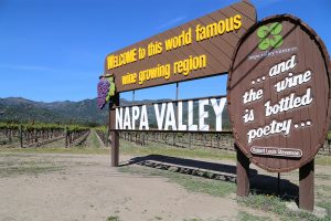 Califórnia: Um delicioso passeio pelas vinícolas do Napa Valley