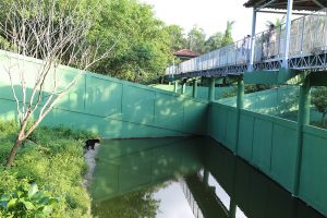 Espaços turísticos abrem para visitação gratuita nesta sexta-feira (27/9)