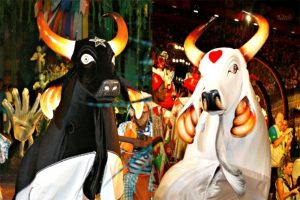 Pacotes para o Festival Folclórico de Parintins 2015 já estão disponíveis