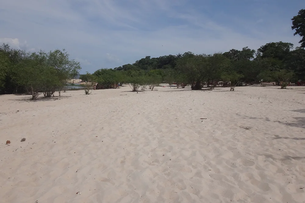 Como ir de carro para Novo Airão: dicas para curtir a estrada Como ir de carro para Novo Airão: dicas para curtir a estrada