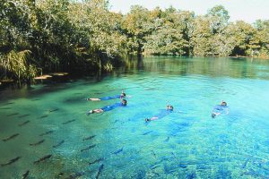 Conheça os cinco destinos nacionais que serão tendência em 2016