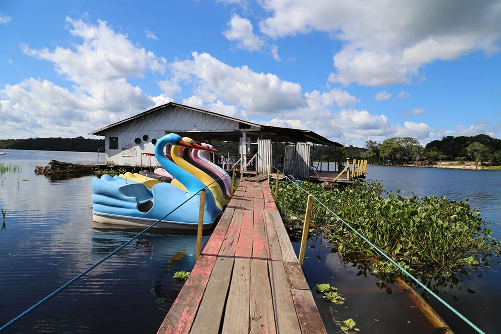 flutuante do repolho