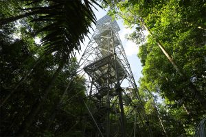 Museu da Amazônia abre 40 vagas para observar o eclipse solar