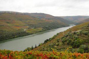 Roteiro pelo Douro: enoturismo em uma região que é patrimônio da humanidade