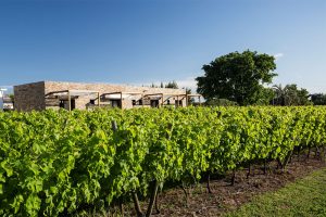 Uruguai: onde se hospedar nas melhores regiões vinícolas do país