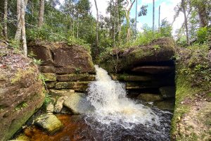 Carnaval: dicas do que fazer nos arredores de Manaus