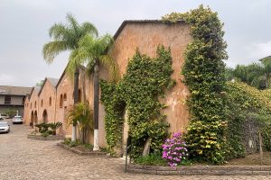 Visita à Casa Valduga, a tradicional vinícola do Vale dos Vinhedos