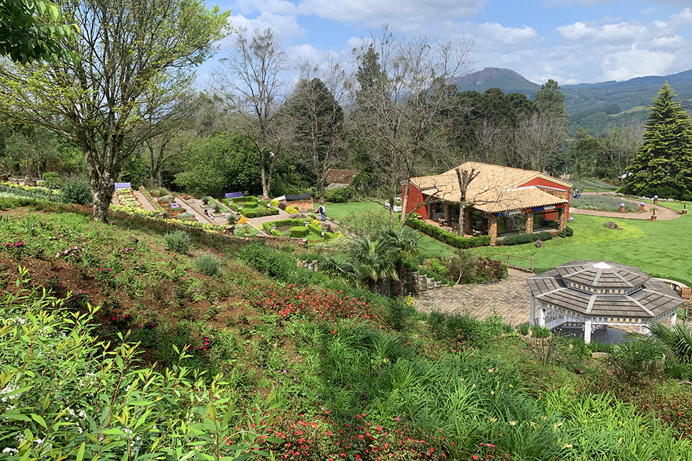 Le Jardin: a beleza das lavandas virá atração em Gramado