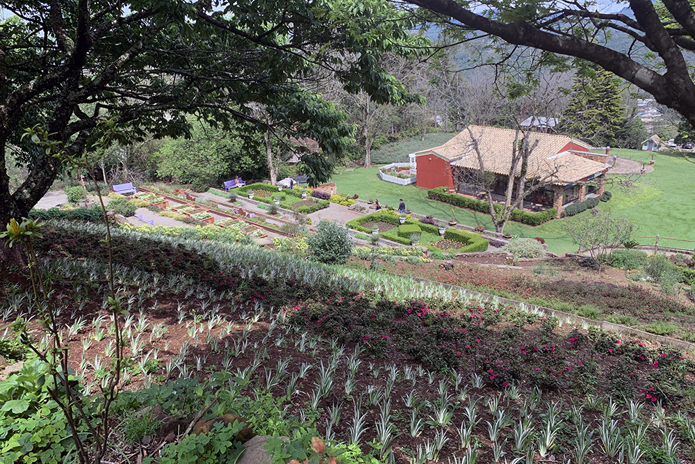 Le Jardin: parque de lavandas em Gramado