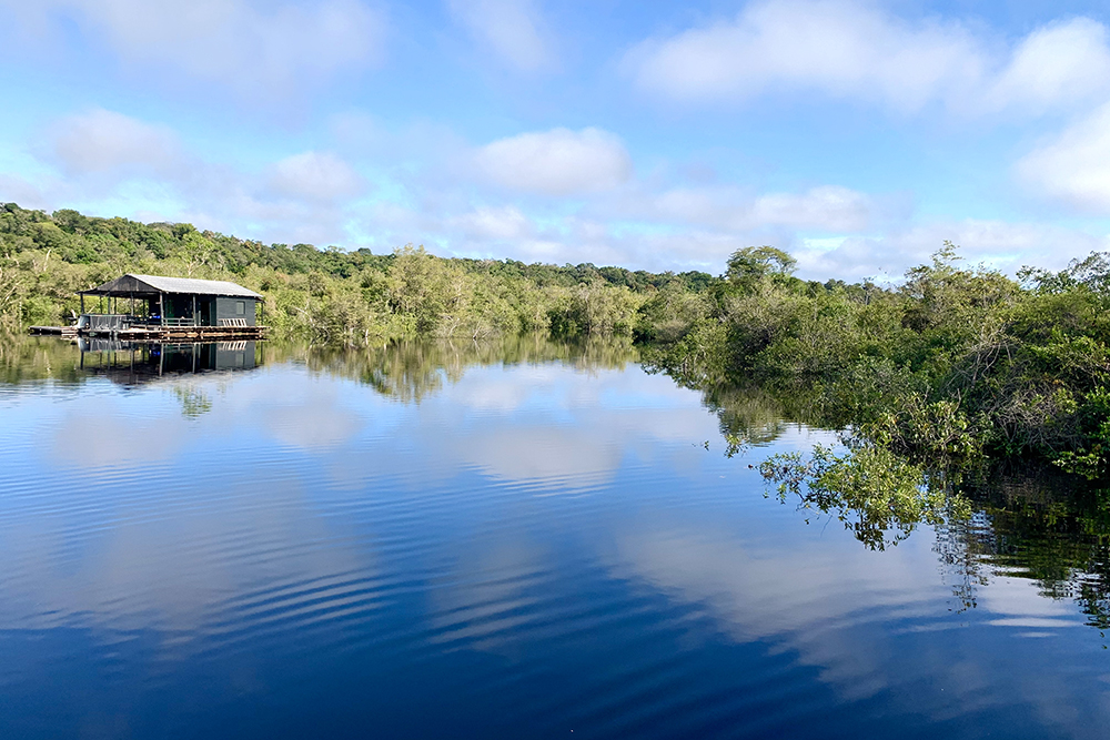 Anavilhanas, um labirinto de ilhas e rios no coração da Amazônia