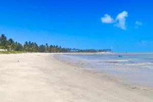Alagoas: roteiro de carro pelas belas praias da Costa dos Corais