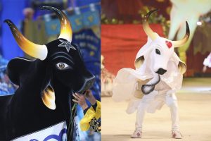 Festival de Parintins 2024: A histórica competição folclórica dos bois Caprichoso e Garantido
