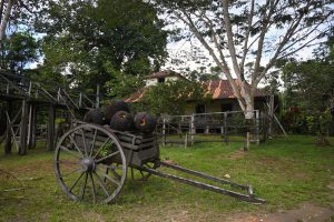 Museu do Seringal reabre para visitação após estiagem