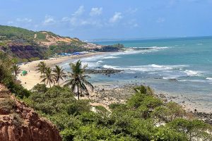 Pipa, conheça uma das praias mais belas do Brasil