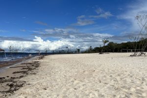 Conheça praias paradisíacas e pouco exploradas do Amazonas