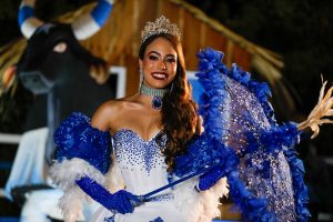 Festival de Parintins 2024: conheça os itens avaliados pelos jurados