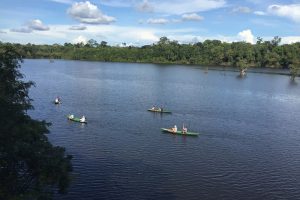 Juma Amazon Lodge indica os melhores passeios para fazer na floresta