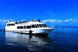 Festival de Parintins: lancha exclusiva vai levar fãs dos bois