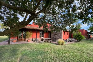 Carmelo: tudo sobre o destino enoturístico do Uruguai