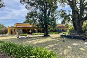 Bodega Campotinto, experiência de enoturismo no coração de Carmelo