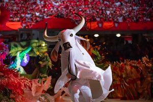 Garantido é campeão do Festival de Parintins 2025; veja todas as notas