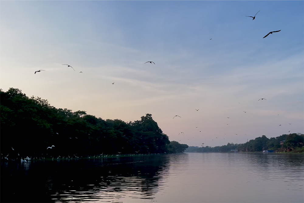 Amazônia Amazônia