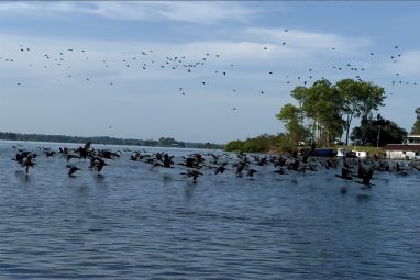 Quebra d’água encanta nos lagos da Amazônia profunda