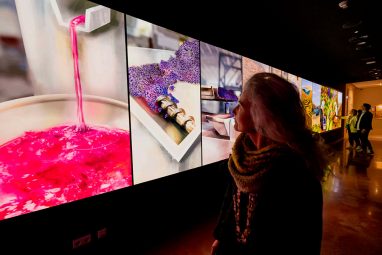 Vindimas em Portugal: a festa da colheita da uva